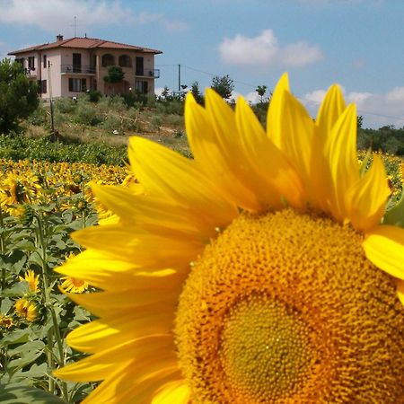 B&B Il Girasole - Rooms & House In Country - 1500 Meters From The City Montepulciano Stazione Eksteriør billede
