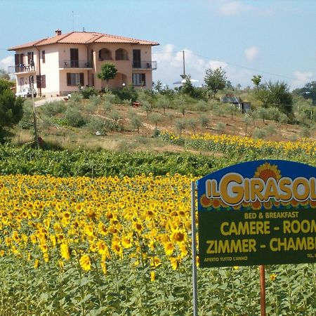 B&B Il Girasole - Rooms & House In Country - 1500 Meters From The City Montepulciano Stazione Eksteriør billede