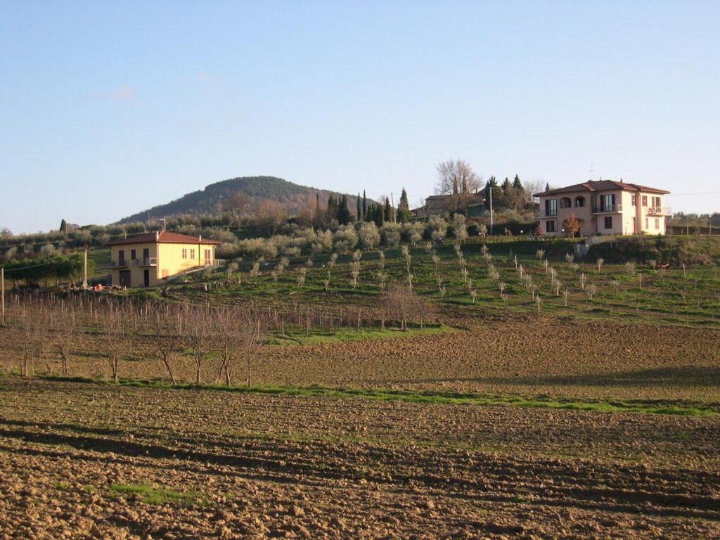 B&B Il Girasole - Rooms & House In Country - 1500 Meters From The City Montepulciano Stazione Eksteriør billede