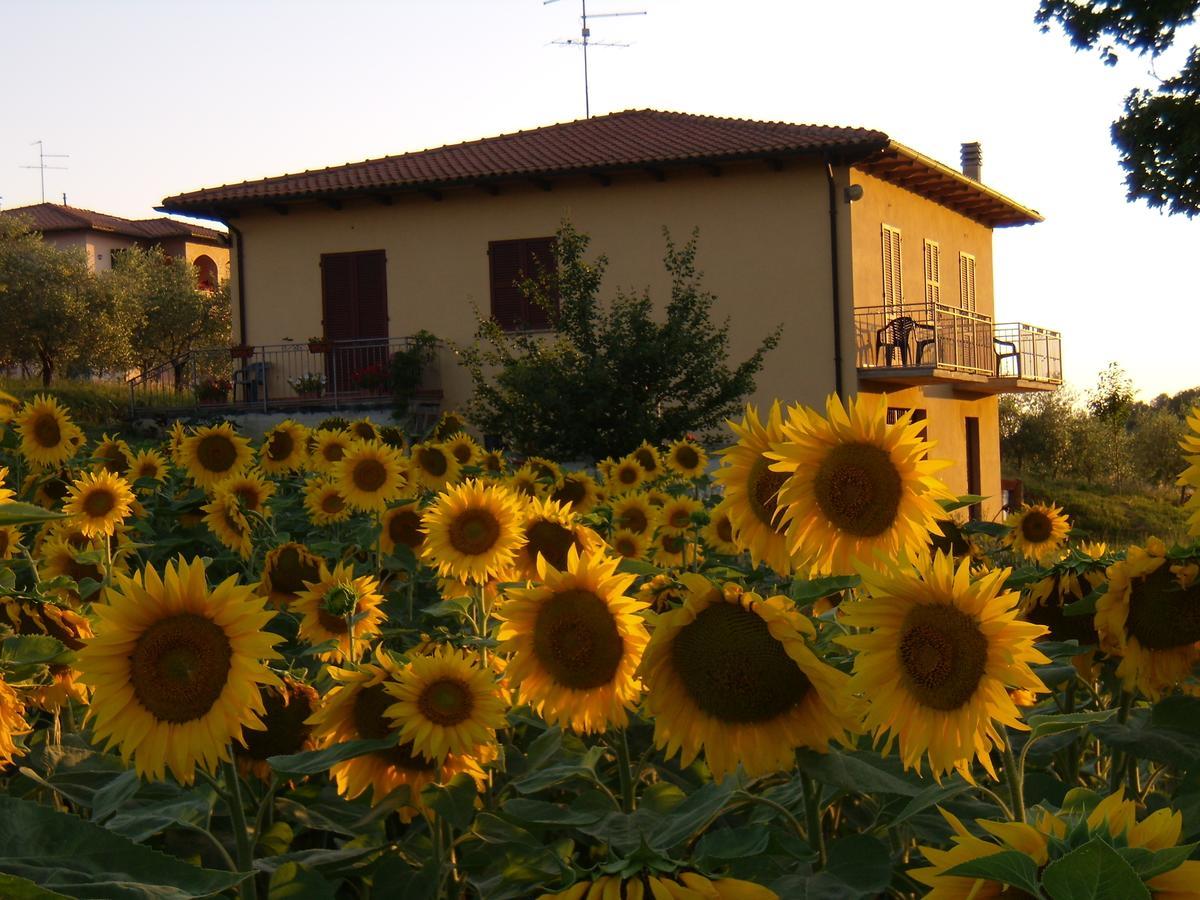 B&B Il Girasole - Rooms & House In Country - 1500 Meters From The City Montepulciano Stazione Eksteriør billede