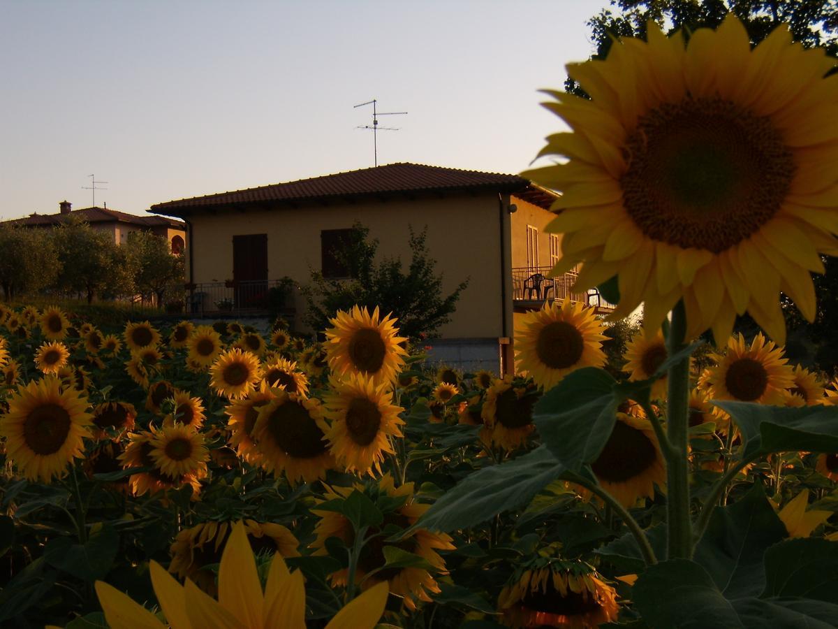 B&B Il Girasole - Rooms & House In Country - 1500 Meters From The City Montepulciano Stazione Eksteriør billede